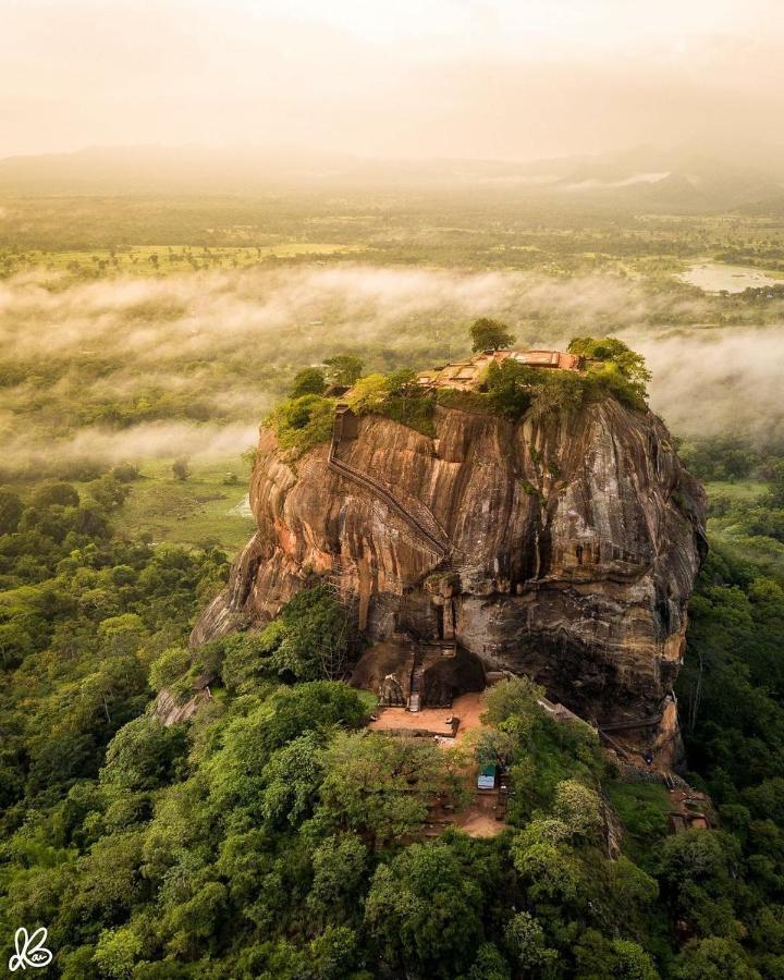 Hungry Lion Sigiriya Hotell Eksteriør bilde